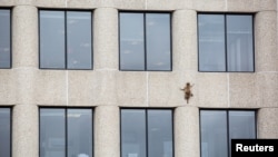 A raccoon scurries up the side of the UBS Plaza building in St. Paul, Minnesota, U.S., June 12, 2018, in this image obtained from social media. 