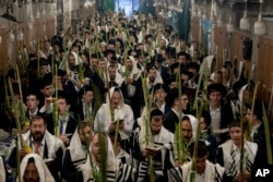 جشن سوکوت در اسرائیل