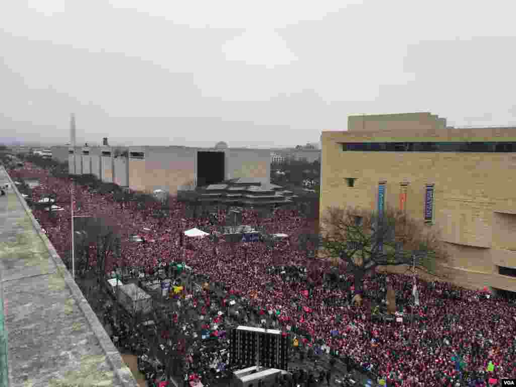 Marcha das Mulheres em Washington DC por direitos iguais. Jan 21, 2017