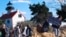 Volunteers hold a "Save The Lighthouse" rally near the East Point Lighthouse in Maurice River Township, N.J., Nov. 10, 2018. 
