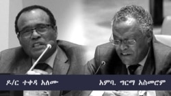 የዓለም አቀፉ ማህበረሰብ ኢትዮጵያና ኤርትራ የፖለቲካ መፍትሄ ያብጁ ሲል፤ ኢትዮጵያ ተቀብላለች ኤርትራ “ማውገዝ” እንጂ “ታቀቡ” ተገቢ አይደለም ብላለች