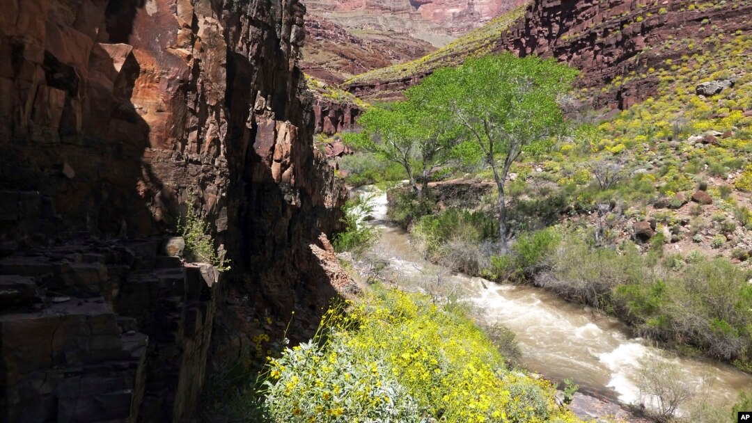 Drones in grand canyon discount