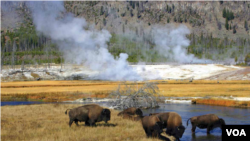 Yellowstone National Park stretches across the states of Wyoming, Montana and Idaho. It was America's first national park.