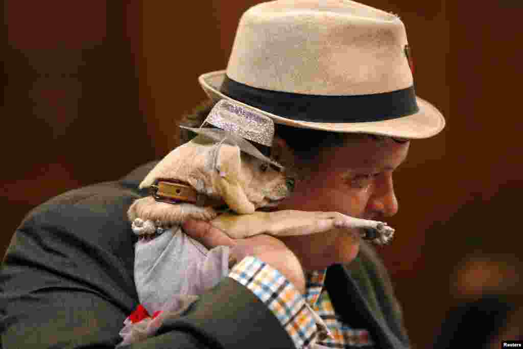 Dean Clark embraces a dog named Frida as the San Francisco Board of Supervisors issues a special commendation naming Frida "Mayor of San Francisco for a Day" in San Francisco, California. Frida, a previously unknown female Chihuahua, has won her first political office, being named Mayor of San Francisco for the day as part of a campaign to support the city's animal shelter.