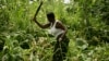 The new FAO report finds that while women make up 43 percent of the world's farmers, only about 10 to 20 percent own the land they farm.