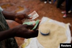 A Malawian trader counts money as he sells maize near the capital Lilongwe, Malawi, Feb. 1, 2016.