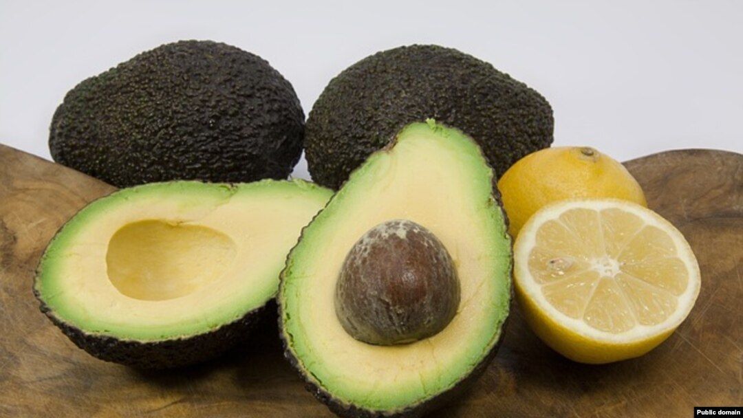 Avokado