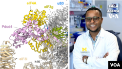 O Dr. Jay Brito Querido, cientista cabo-verdiano e professor na Faculdade de Medicina da Universidade de Michigan