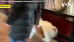 Лошадка Марта