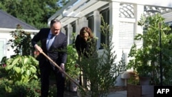 Wakil Presiden AS Kamala Harris dan suaminya Doug Emhoff menanam buah delima dalam peringatan satu tahun serangan Hamas ke wilayah Israel yang digelar di Naval Observatory di Washington, DC, pada 7 Oktober 2024. (Foto: AFP/Ting Shen)