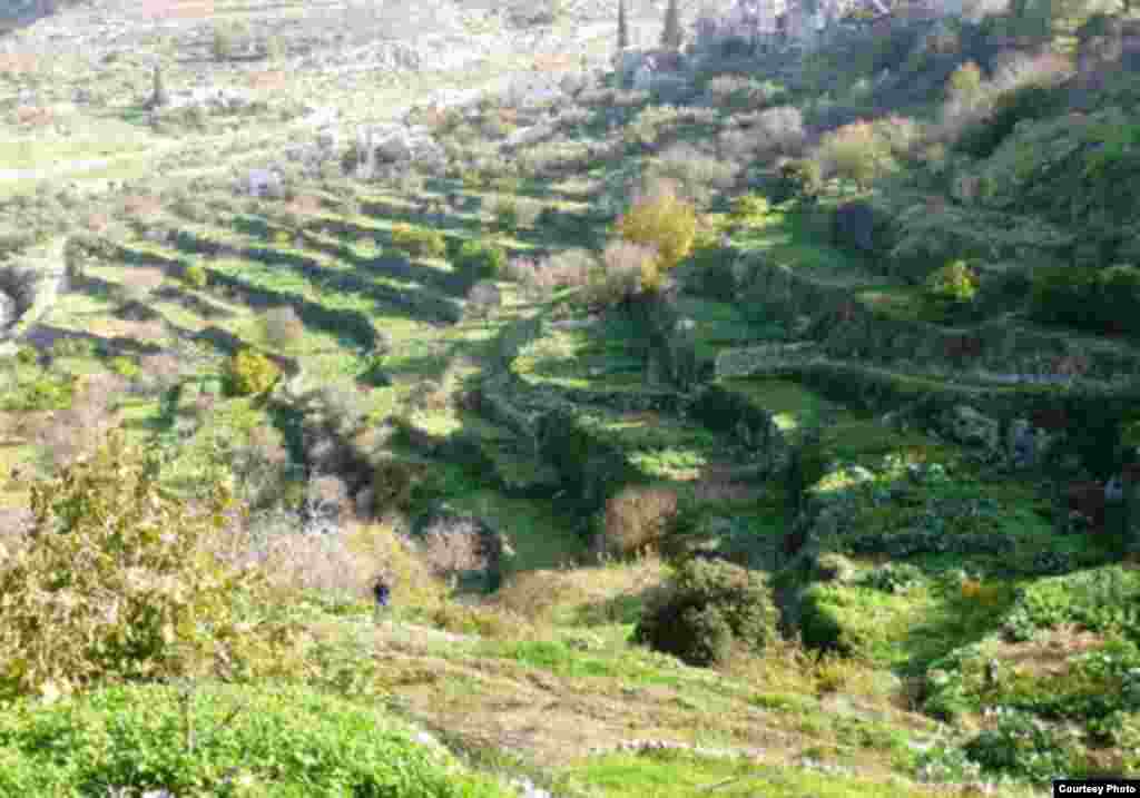 The landscape of Southern Jerusalem, Battir, is located a few kilometres south-west of Jerusalem. (UNESCO)