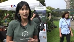 Gardeneur: Toko Tanaman Online Milik Diaspora Indonesia di San Jose, California