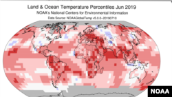 June 2019 Blended Land and Sea Surface Temperature Percentiles. (NOAA)