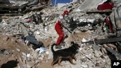 A rescue worker searches the debris with his sniffing dog on the earthquake site in Sarpol-e-Zahab in western Iran, Nov. 14, 2017. 