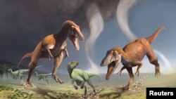 This illustration shows two Cretaceous Period predatory dinosaurs named Gualicho shinyae hunting smaller bipedal herbivorous dinosaurs in northern Patagonia 90 million years ago. 
