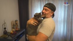 Ամերիկյան երազանք