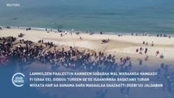 Lammiileen Paalestiin Sababa Wal Waraansaa Hamaasii fi Israa’eel Gidduu Tureen Qe’ee Isaaniirraa Baqatanii Turan Gaazaatti Deebi’uu Jalqaban