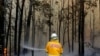 Suhu Meningkat Diperkirakan Kembali Sulut Kebakaran Hutan Australia