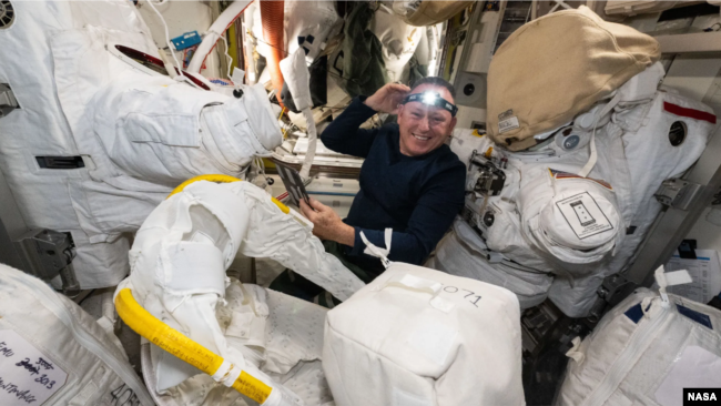 NASA astronaut Butch Wilmore performs spacesuit maintenance inside the International Space Station's Quest airlock compartment. (NASA)