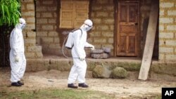 FILE - A healthcare worker in protective gear sprays disinfectant around the house of a person suspected to have the Ebola virus in Port Loko Community, situated on the outskirts of Freetown, Sierra Leone, Oct. 21, 2014. 