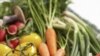 Con este programa las verduras son llevadas hasta las casas de sus clientes a sólo horas de haber sido sacadas de las granjas.