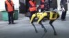 У Чорнобилі випробували робота Boston Dynamics. Відео