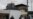 Prisoners Take Guards Hostage in Brazil's Manaus