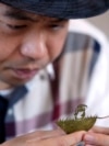 Japan Leaf Cutting Artist