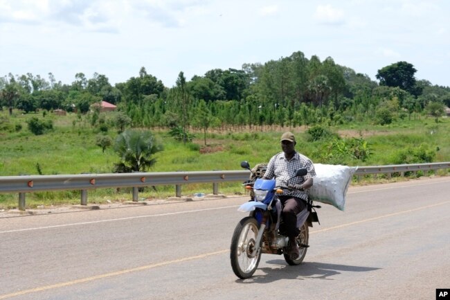 A man ferries a sack of charcoal along a road in Gulu, Uganda on May 28, 2023. Uganda's population explosion has heightened the need for cheap plant-based energy sources, especially charcoal. (AP Photo/Hajarah Nalwadda)