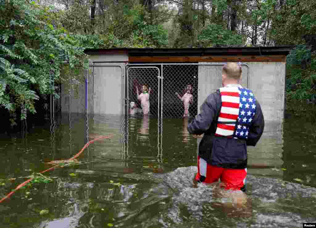 Panicked dogs that were left caged in Leland, North Carolina, by an owner who fled rising flood waters in the aftermath of Hurricane Florence, are rescued by volunteer rescuer Ryan Nichols of Texas.