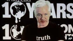 WikiLeaks founder Julian Assange participates via video link at a news conference marking the 10th anniversary of the secrecy-spilling group in Berlin, Germany, Oct. 4, 2016. Assange said that WikiLeaks plans to start a series of publications this week, but wouldn’t specify the timing or subject matter.