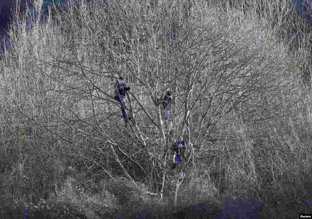 Dover Athletic supporters applaud their team from trees outside the ground that overlook the pitch during their English FA Cup third round soccer match against Crystal Palace at Crabble Athletic Ground in Dover, southern England.