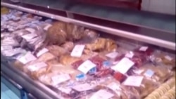 Cat Eats Over $1,000 Worth of Seafood at Russian Shop