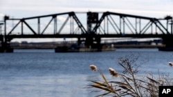 FILE - Shrubs are backdropped by the Portal bridge as seen from Kearny, New Jersey, Nov. 14, 2014.