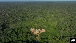 Trees surround Juma Indigenous land, where three sisters lead and manage the territory after the death of their father, near Canutama, Amazonas state, Brazil, July 8, 2023.