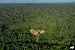 Trees surround Juma Indigenous land, where three sisters lead and manage the territory after the death of their father, near Canutama, Amazonas state, Brazil, Saturday, July 8, 2023. (AP Photo/Andre Penner)