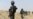Cameroon Claims to Have Liberated Nigerian Boko Haram Stronghold
