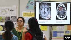 A health professional gives an explanation about the human brain 