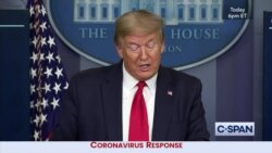 بي بي شیرینه – وي او اې ډيوه په ټیلې ویژن