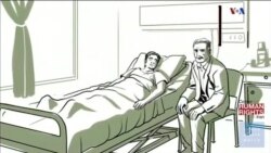 اخبار شامگاهی