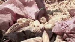 Live Talk - Serious Food Shortages Grip Zimbabwe