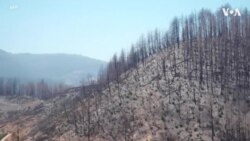 加州纳帕谷葡萄园保护酒庄免受野火侵袭