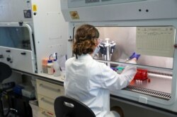 FILE - A scientist works on a vaccine against the coronavirus at a facility in Oxford, Britain, June 24, 2020. British intelligence officials are putting such facilities high on the list of potential Chinese targets.