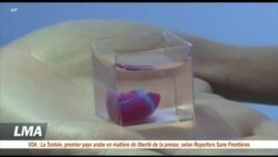 Un cœur 3D à partir de tissus humains
