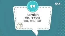 学个词 - tarnish