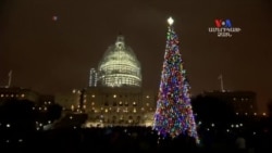 SHORT VIDEO: ԱՄՆ-ի Կապիտոլիումի տոնածառը