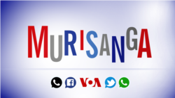 Murisanga