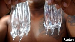 Curtis Cuba, working his fourth year as an ocean safety officer (lifeguard) in Hawaii, holds up two box jellyfish, July 22, 2003, on Waikiki Beach. Box jellyfish are one of the most dangerous marine animals in Australia’s waters.