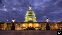 Zgrada američkog Kongresa u Vašingtonu (Foto: AP/ J. David Ake)