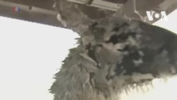 Весенний снегопад